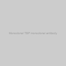 Image of Monoclonal TBP monoclonal antibody